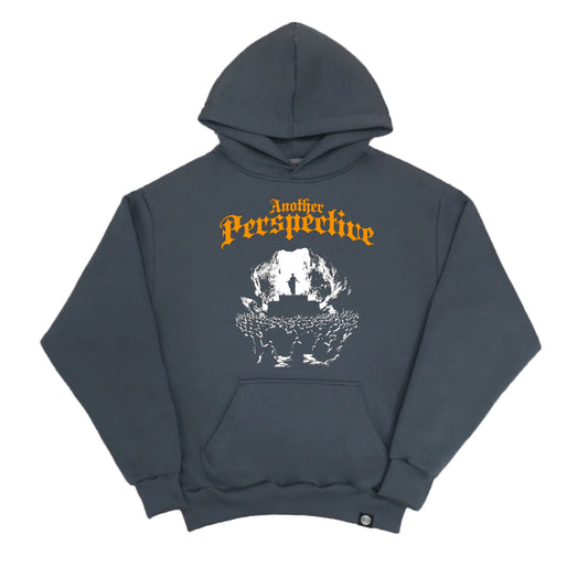 Another Perspective Hoodie Iron